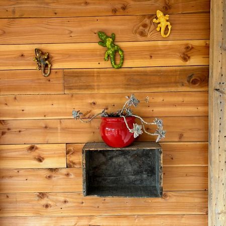 Ferienwohnung Les Flo Location Aigues-Mortes Exterior foto