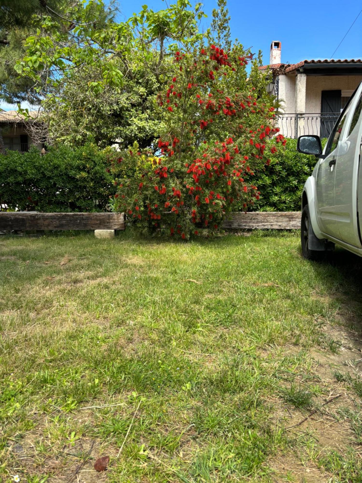 Ferienwohnung Les Flo Location Aigues-Mortes Exterior foto